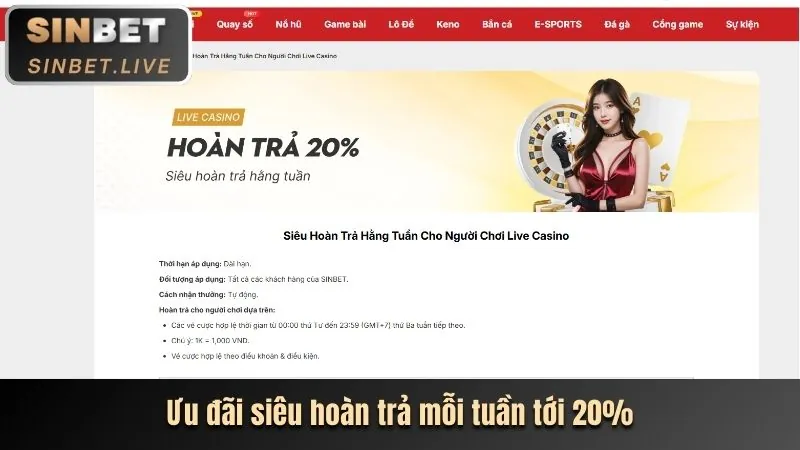 Các chương trình khuyến mãi hấp dẫn cho thành viên mới